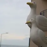 Casa Dos Pexins Lägenhet Nazaré