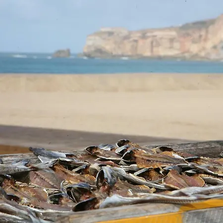 Casa Dos Pexins Nazare