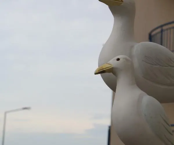 Casa Dos Pexins Lägenhet Nazaré