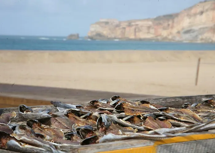 Casa Dos Pexins Nazaré